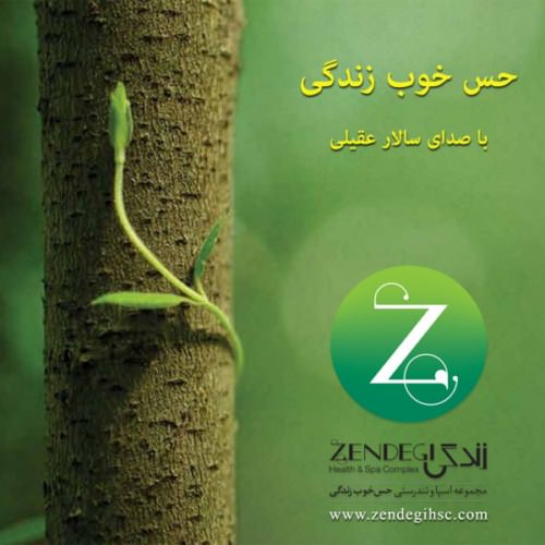 دانلود آهنگ جديد سالار عقیلی به نام حس خوب زندگی دانلود آهنگ جديد سالار عقیلی به نام حس خوب زندگی