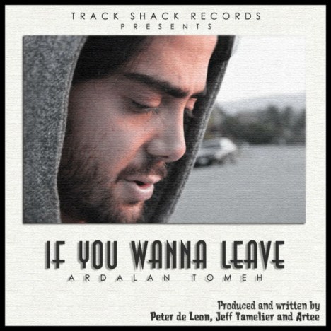 دانلود آهنگ جدید اردلان طعمه به نام If You Wanna Leave دانلود آهنگ جدید اردلان طعمه به نام If You Wanna Leave