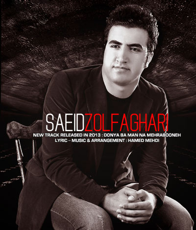 سعید ذولفقاری – دنیا با من نامهربونه